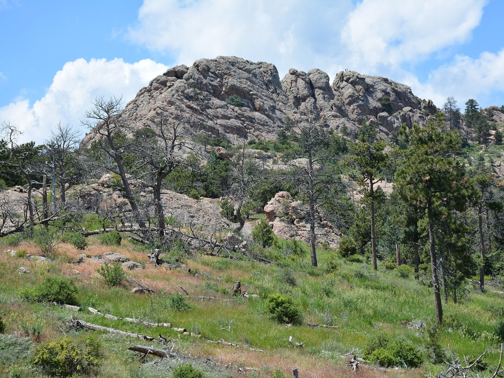 Picture of Horsetooth Mountain Open Space