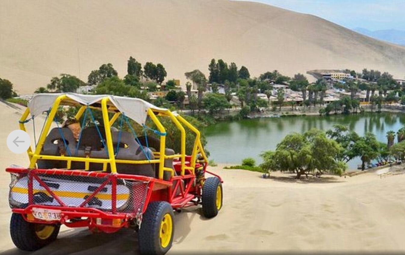 Picture of Paracas and Huacachina from Lima with Ballestas Islands and Sand Boarding