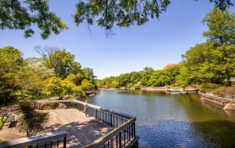 Picture of Pullen Park