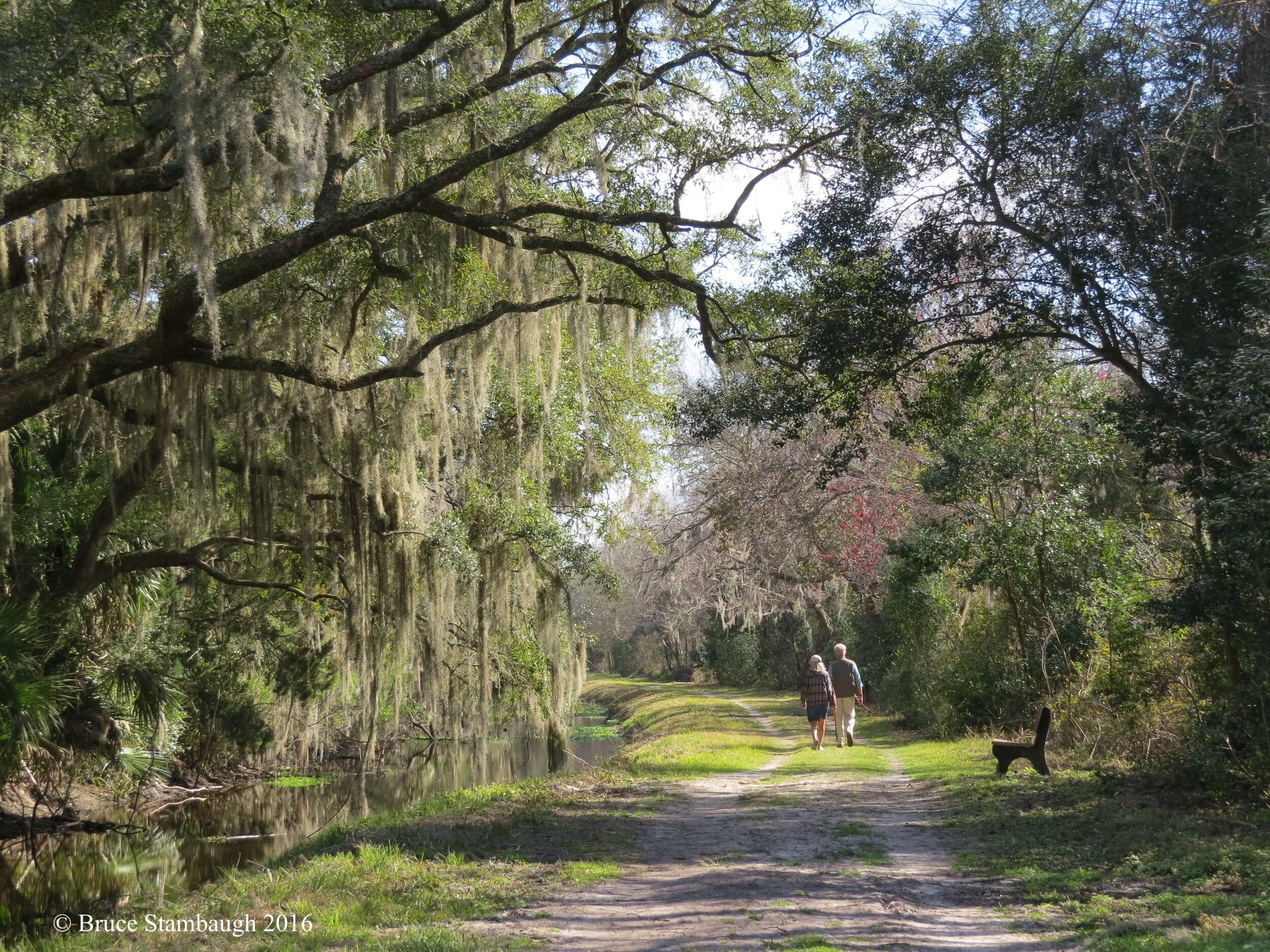 Picture of Egan's Creek Greenway Trail