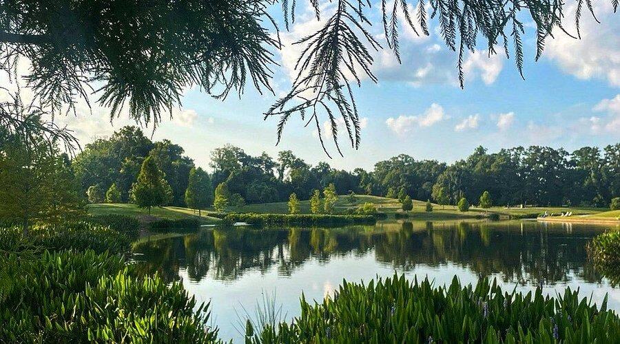 Picture of Moncus Park