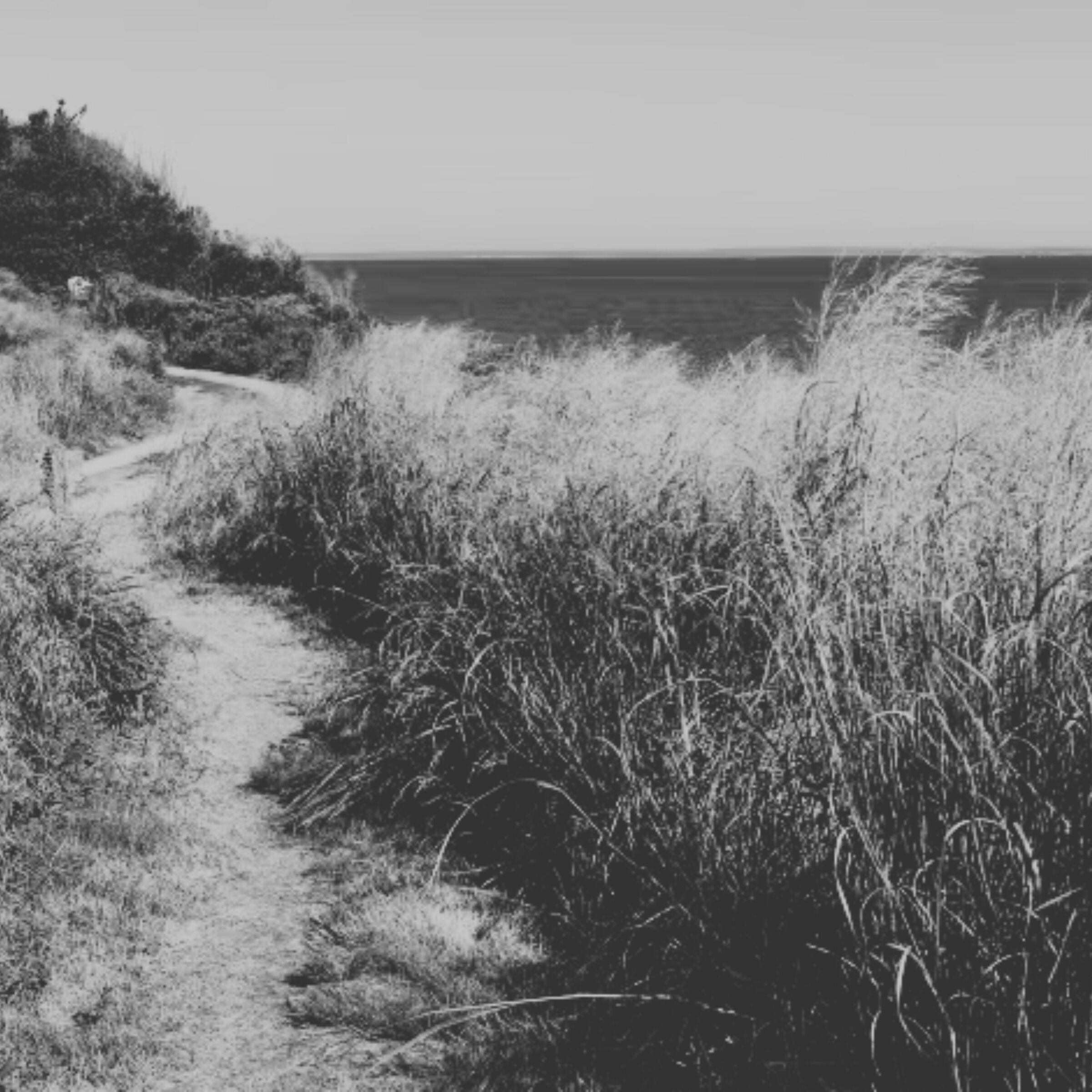 Picture of Clayhead Nature Trail