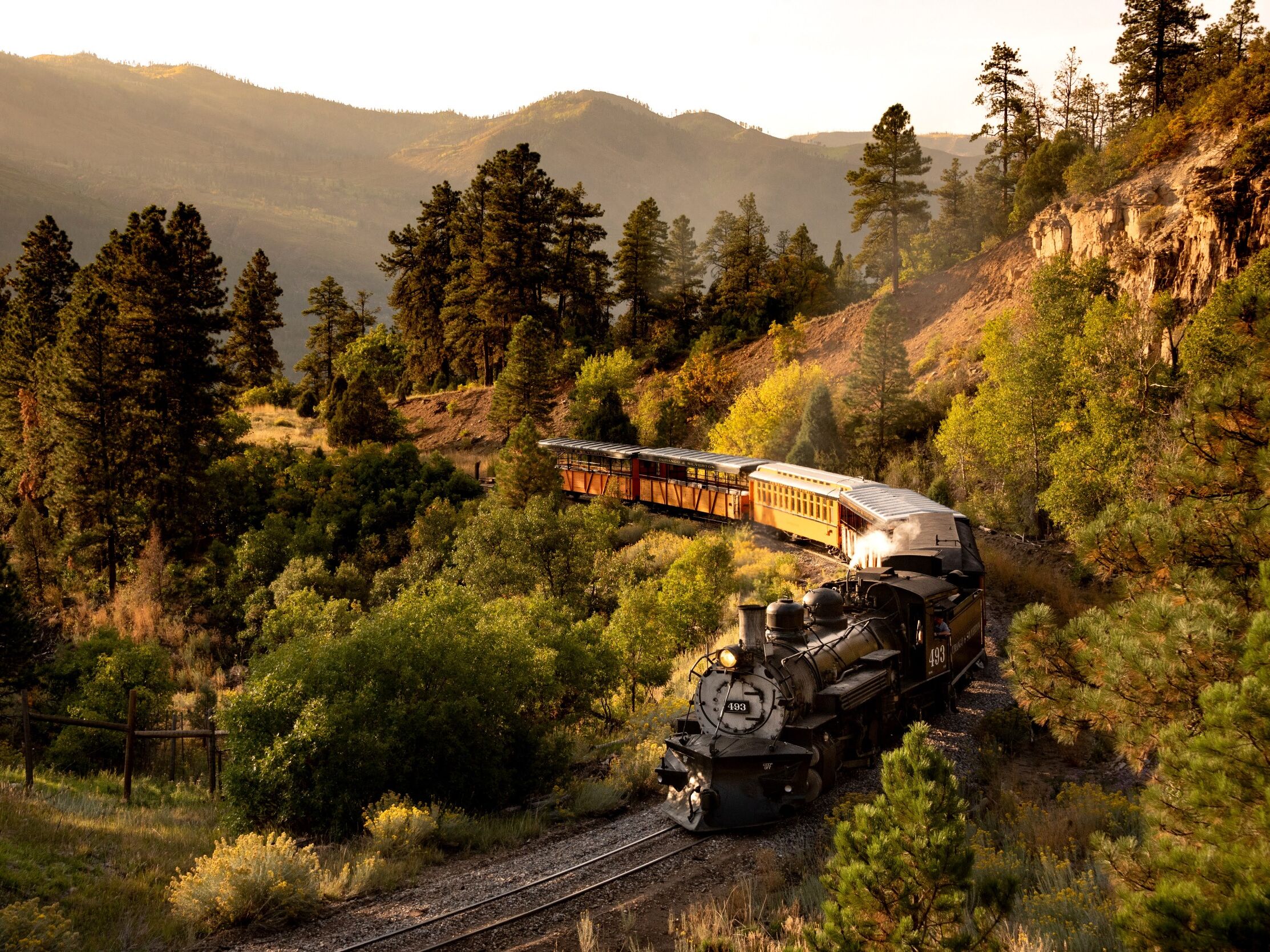 Picture of Scenic Train Ride Excursion 