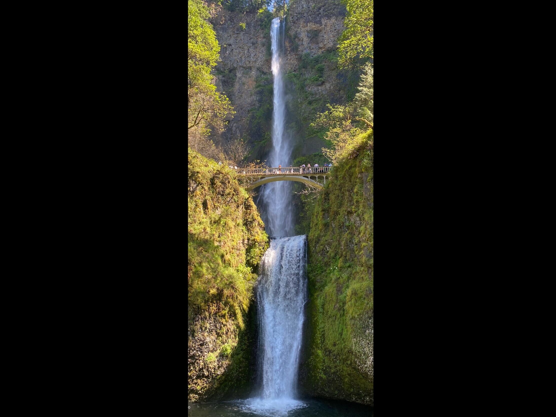 Picture of Multnomah Falls