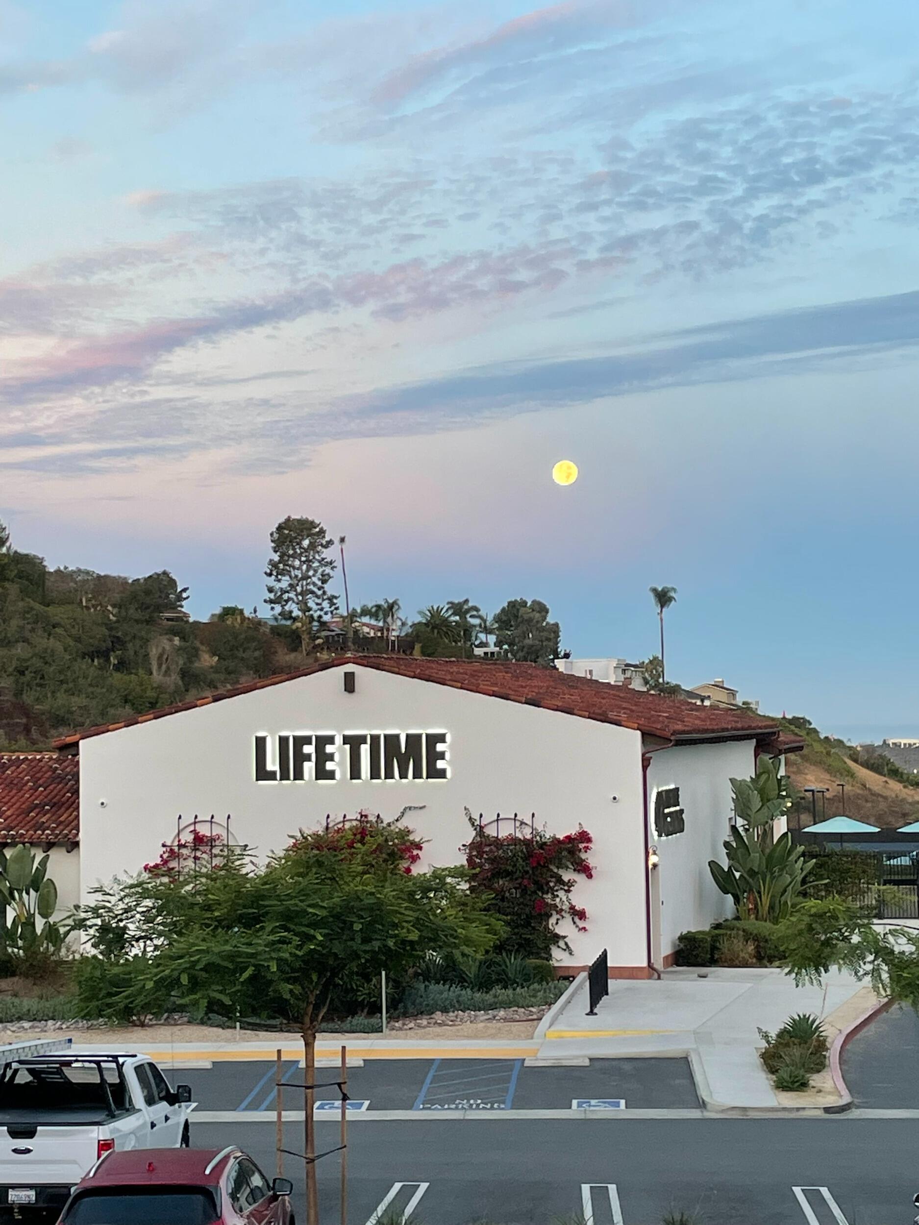 Picture of Life Time