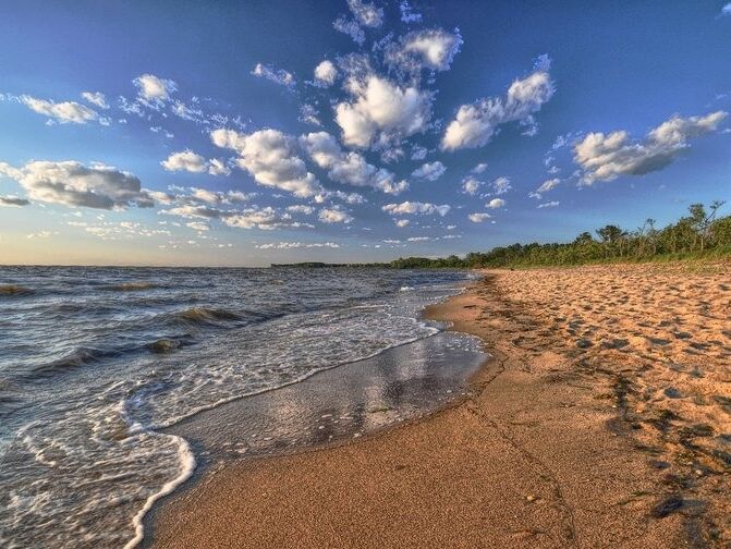 Picture of Terrapin Nature Park