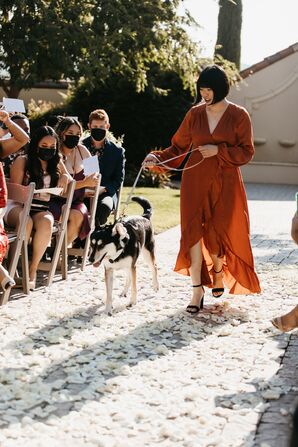 Dog Walking Down Aisle During Ceremony Processional