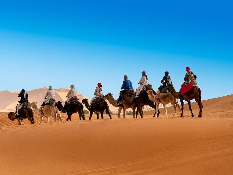 Picture of Desert Camel Riding