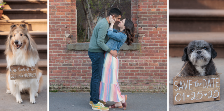 Susan & Rahul Home Page Banner