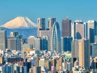Tokyo skyline and Mount Fuji, Japan honeymoon.