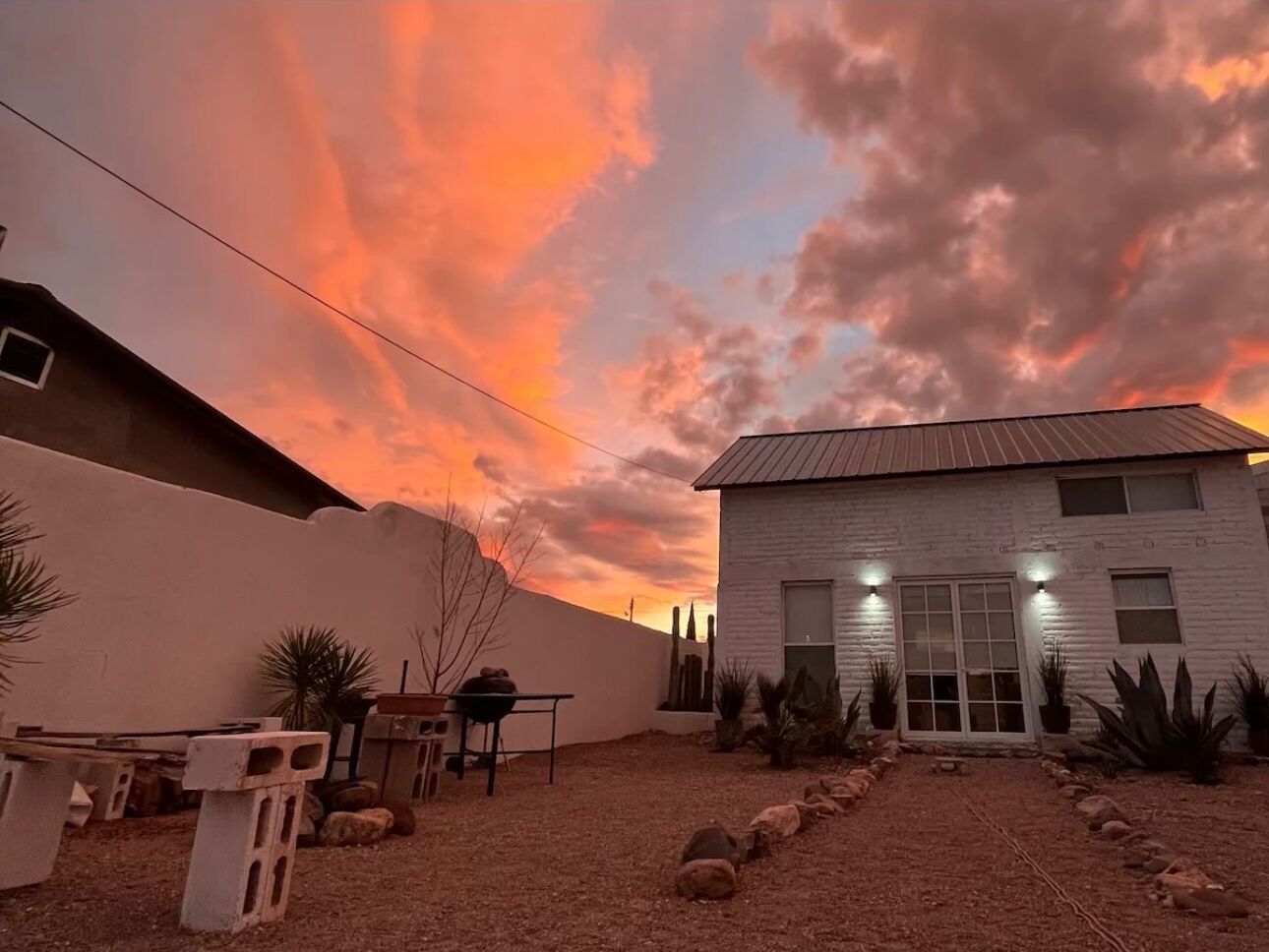 Picture of La Casita Suculenta