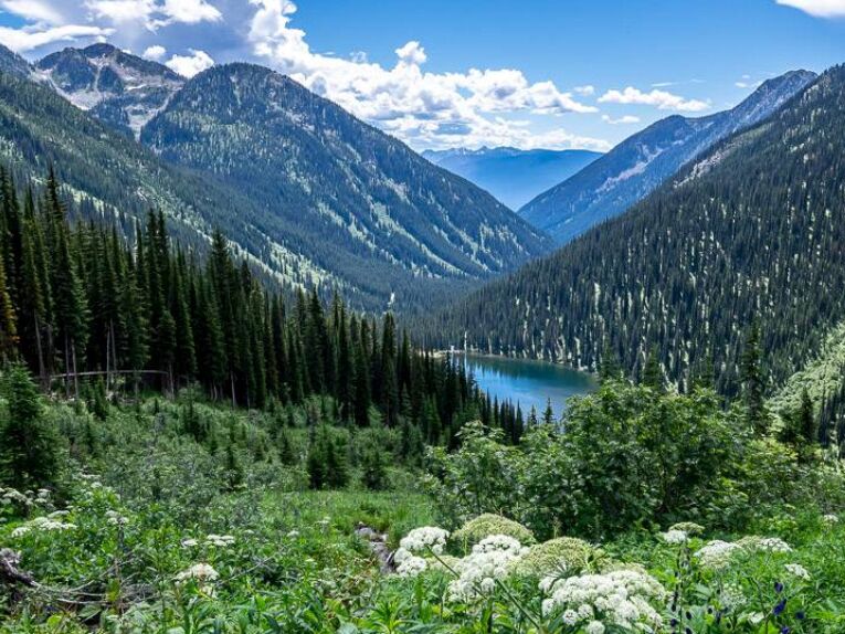 Picture of Hiking/Camping