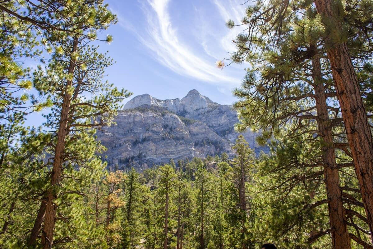 Picture of Mount Charleston