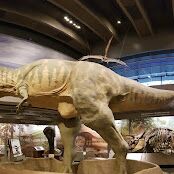 Picture of Museum Of Science