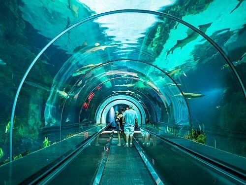 Picture of SeaWorld San Diego
