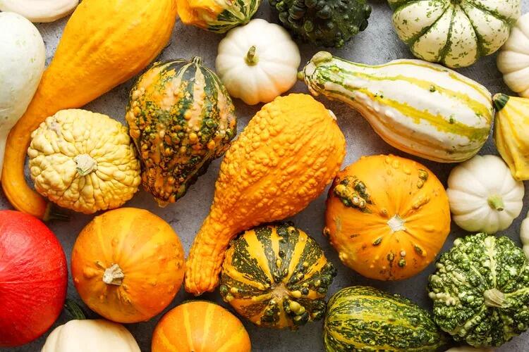 Picture of The Gourd Place