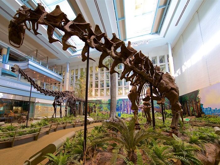 Picture of Carnegie Museum of Natural History