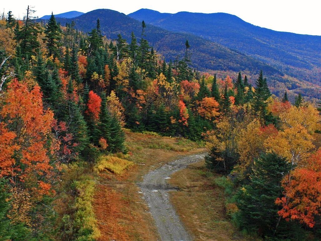 Picture of Stowe Mountain Auto Toll Road
