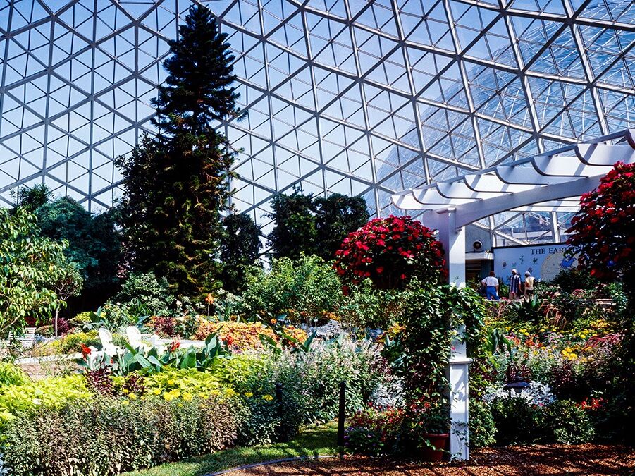 Picture of Mitchell Park Domes Horticulture Conservatory