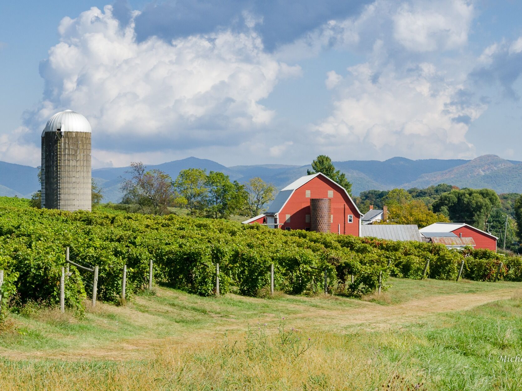 Picture of Rockbridge Vineyard & Brewery