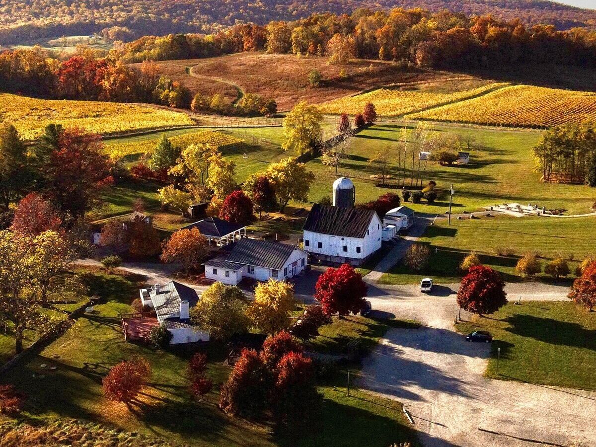 Picture of 868 Estate Vineyards