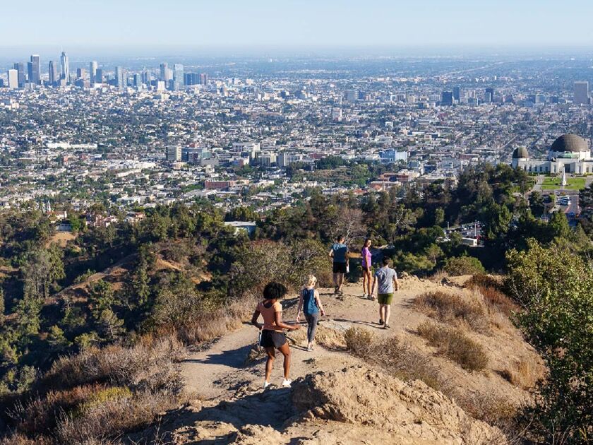 Picture of Runyon Canyon Park