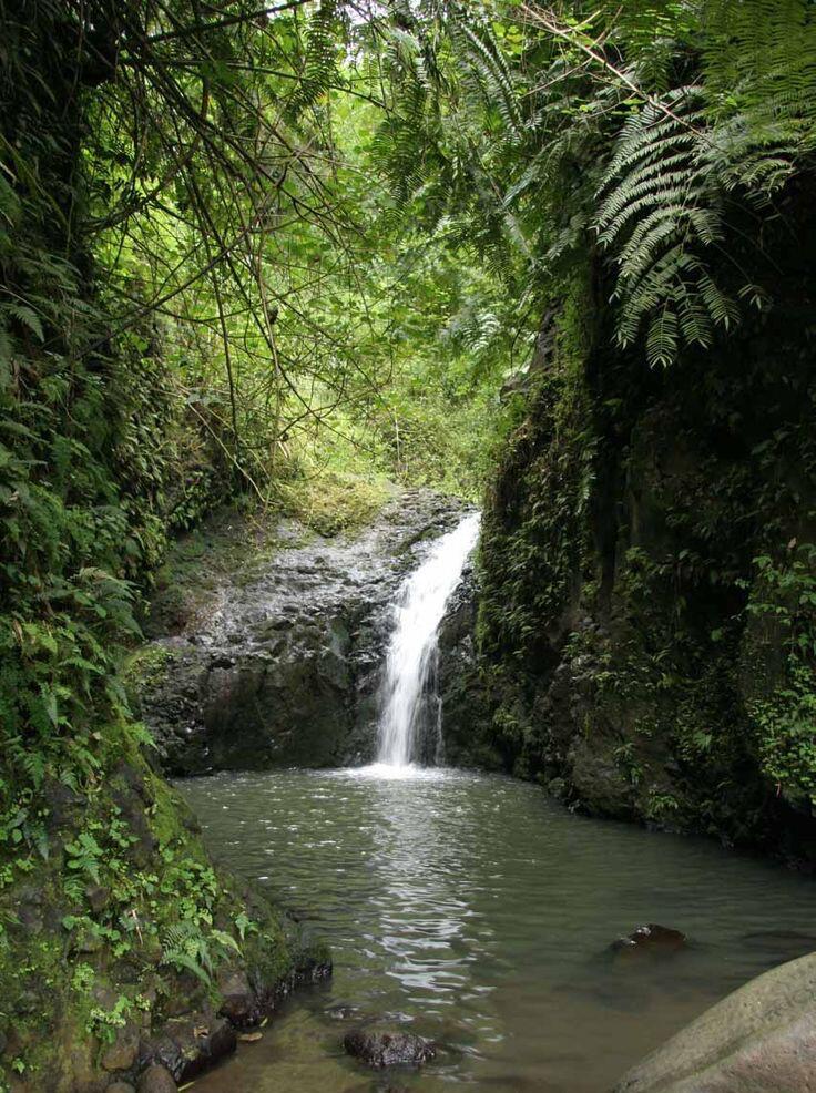 Picture of Maunawili Falls
