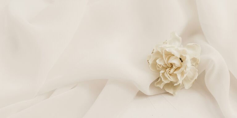 Daniela & Carlos Home Page Banner