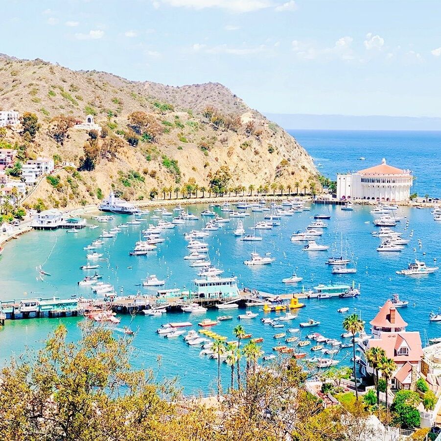 Picture of Catalina Island 