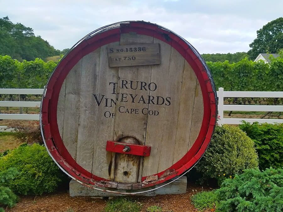Picture of Truro Vineyards
