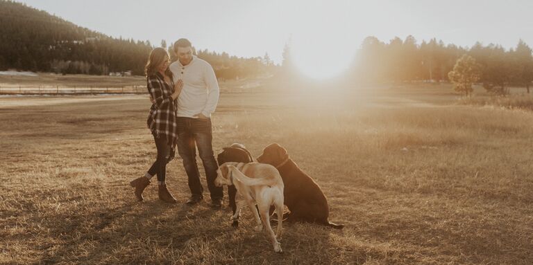 Jake & Brittany Home Page Banner