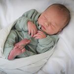 Charlie Gray Verduin