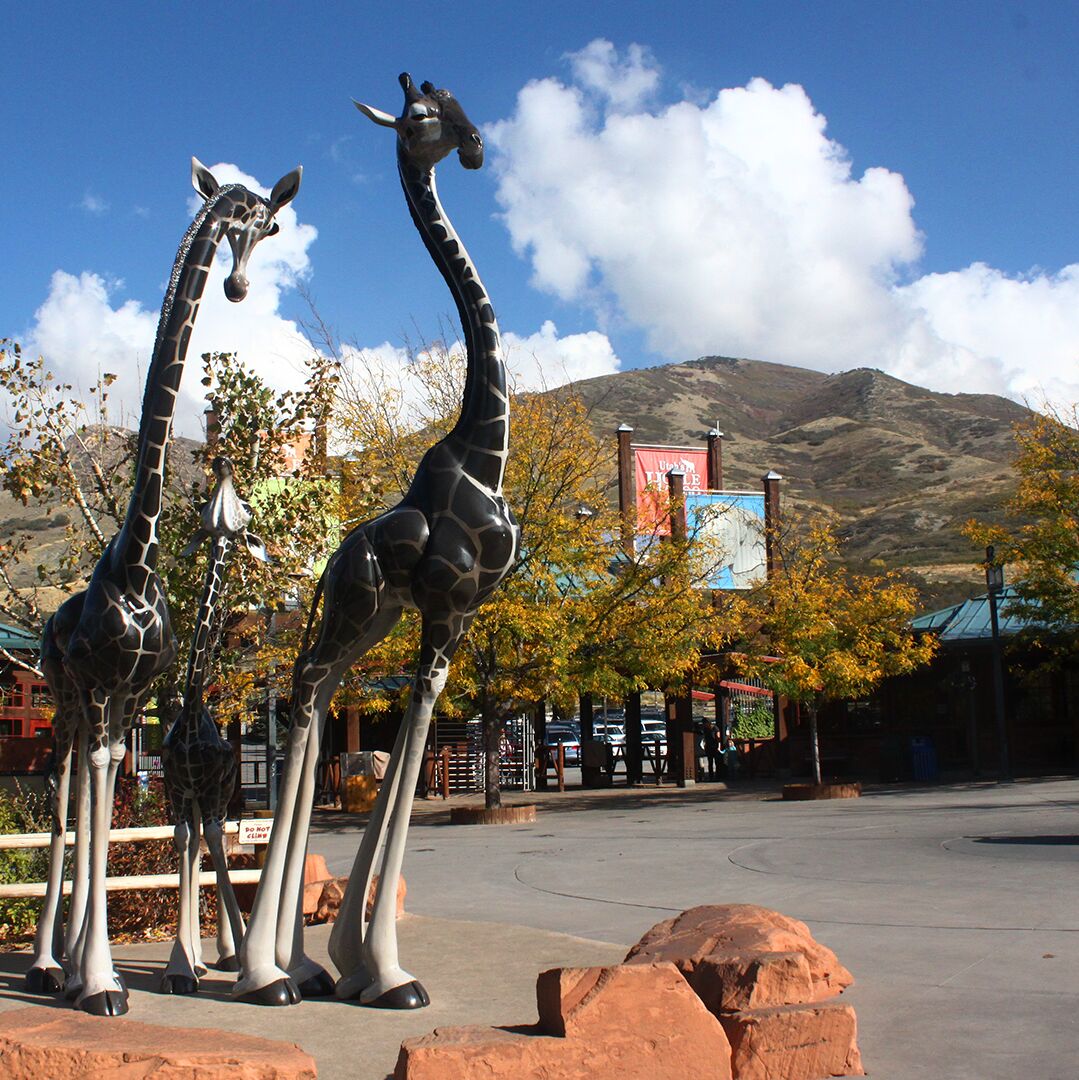 Picture of Utah's Hogle Zoo