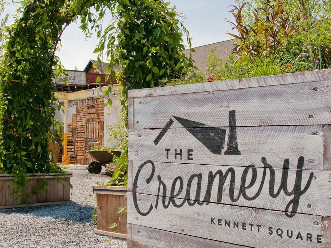 Picture of Kennett Square Creamery