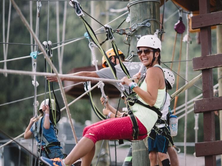 Picture of Open Air Adventure Park