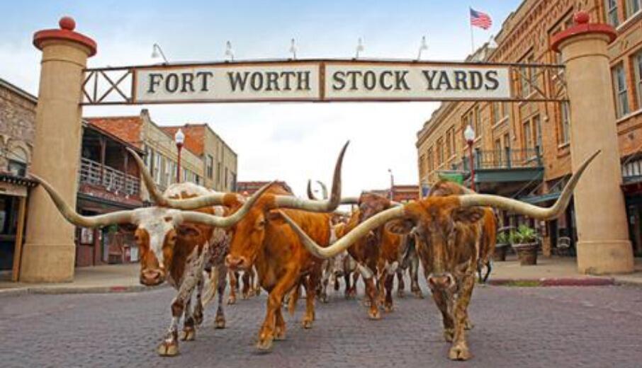 Picture of Fort Worth Stockyards