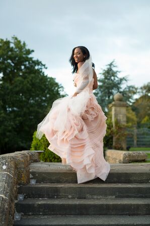 Ethereal Blush Vera Wang Wedding Dress
