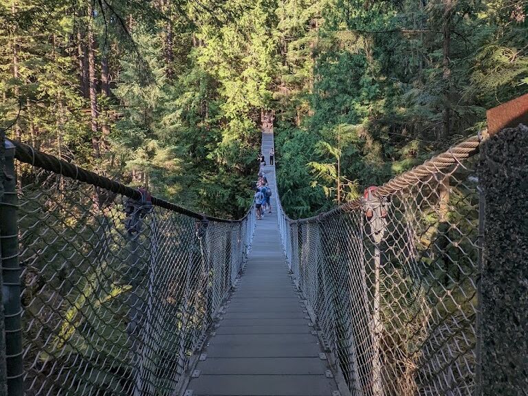 Picture of Lynn Canyon Suspension Bridge
