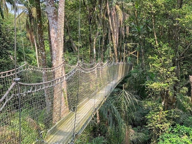 Picture of Lekki Conservation Centre