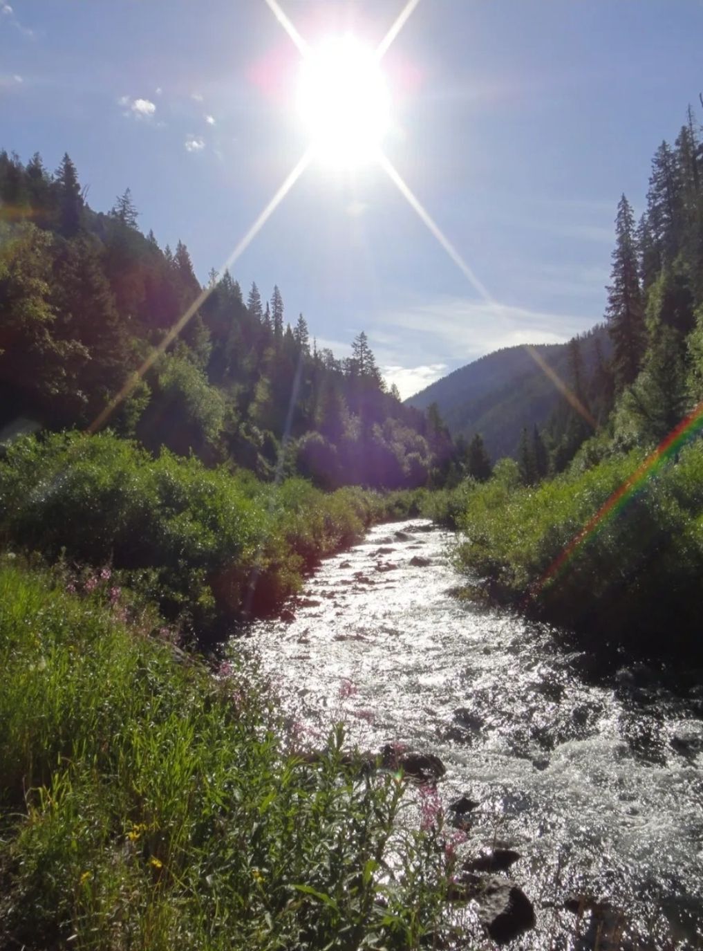 Picture of Hike Periodic Springs 