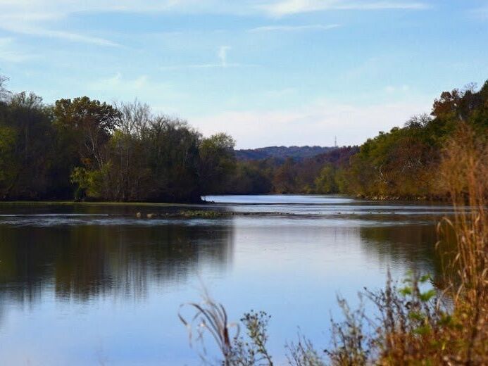 Picture of Seven Islands State Birding Park