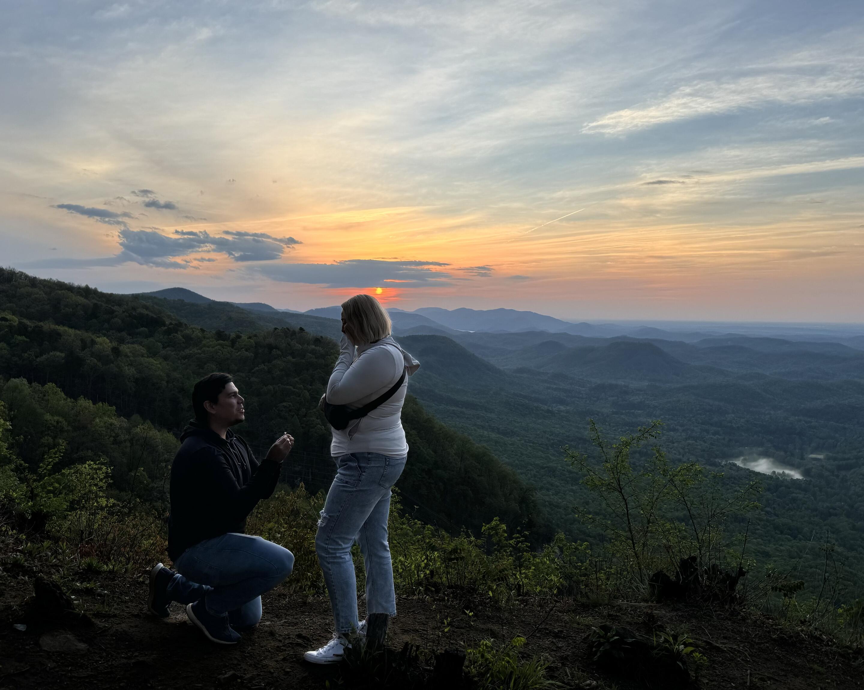 Picture of The Proposal