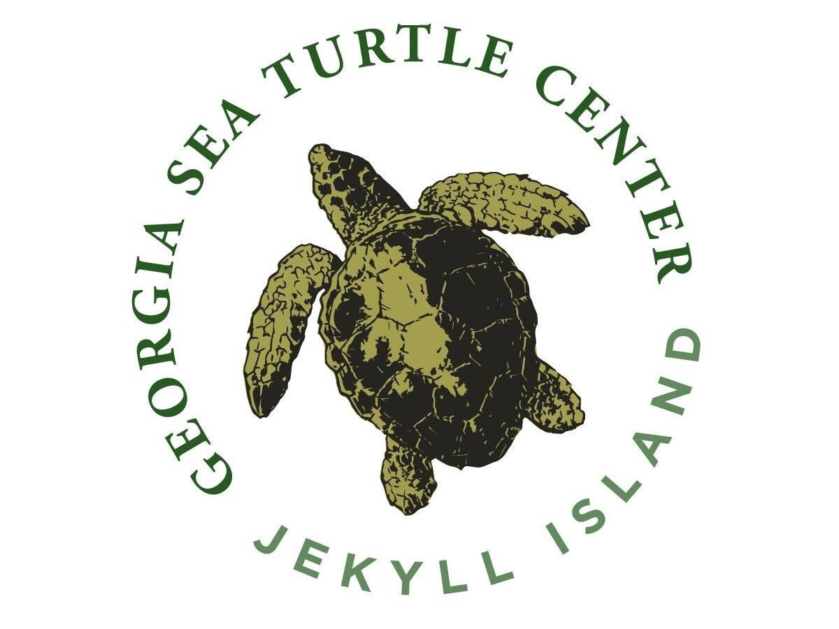Picture of Georgia Sea Turtle Center