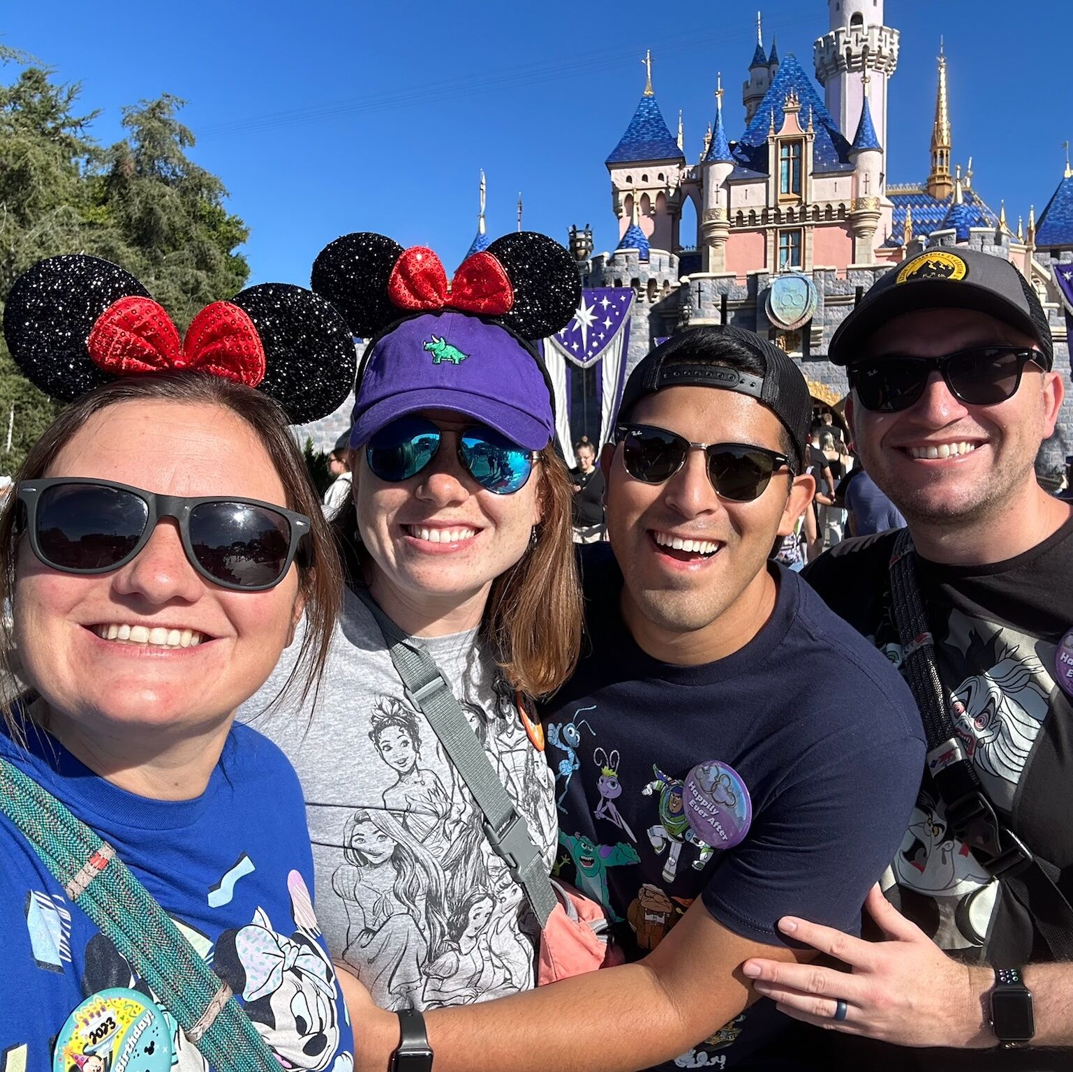 Picture of Big kids at Disneyland 