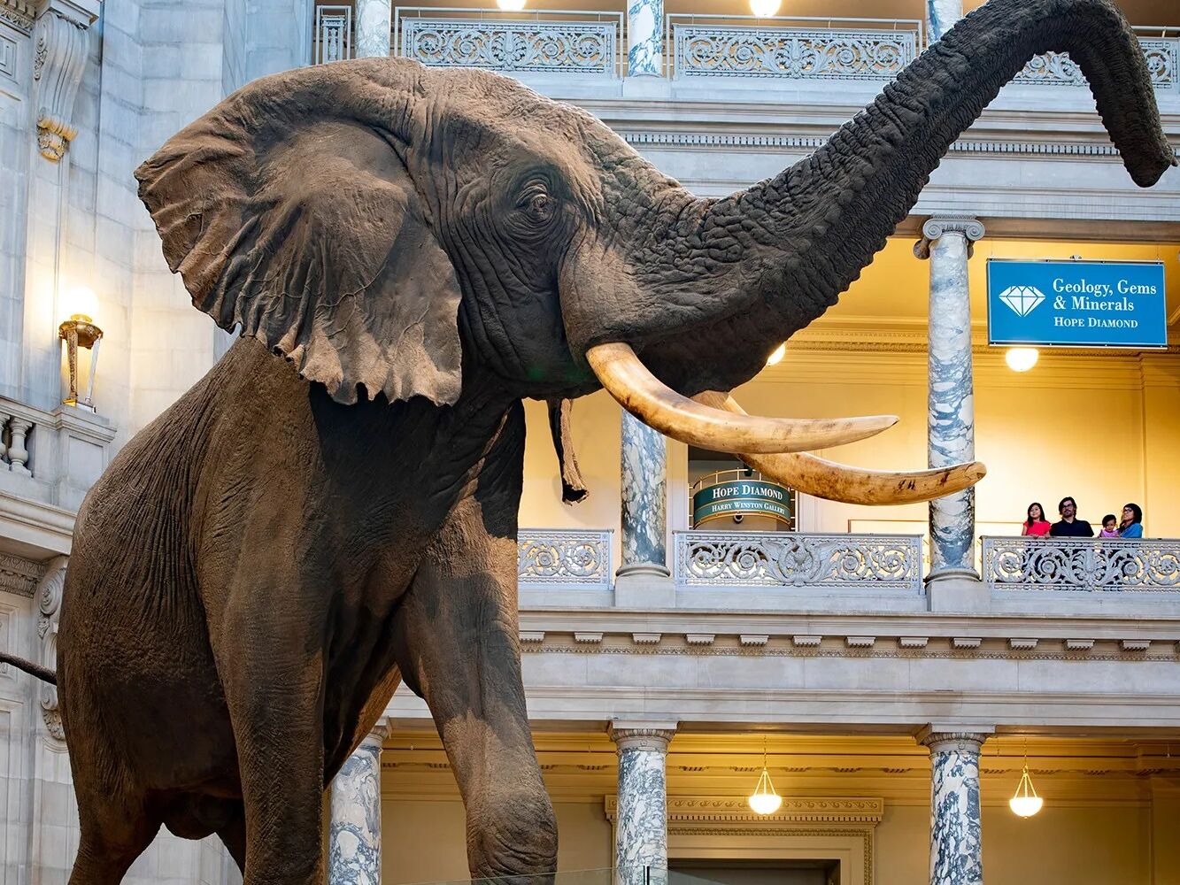 Picture of Museum of Natural History