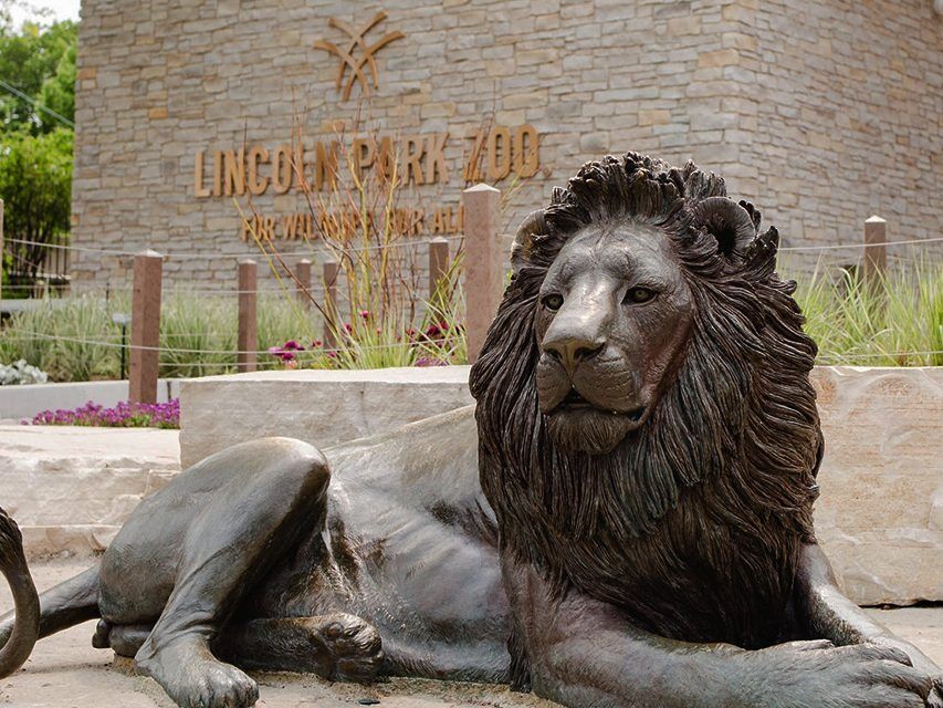 Picture of Lincoln Park Zoo