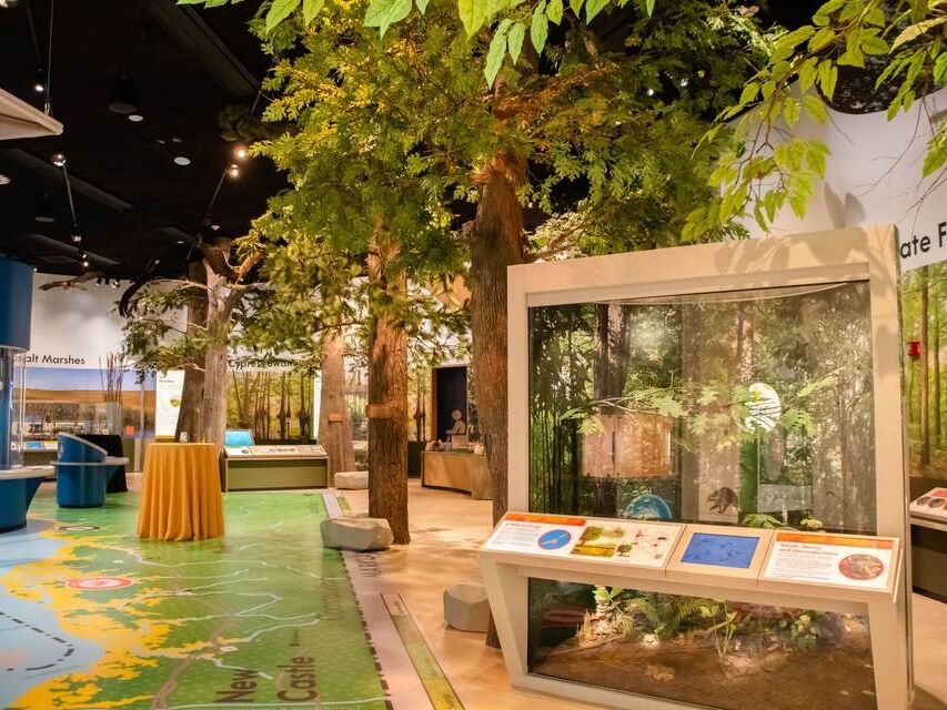 Picture of Delaware Museum of Nature & Science