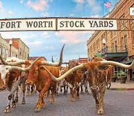 Picture of Fort Worth Stockyards 