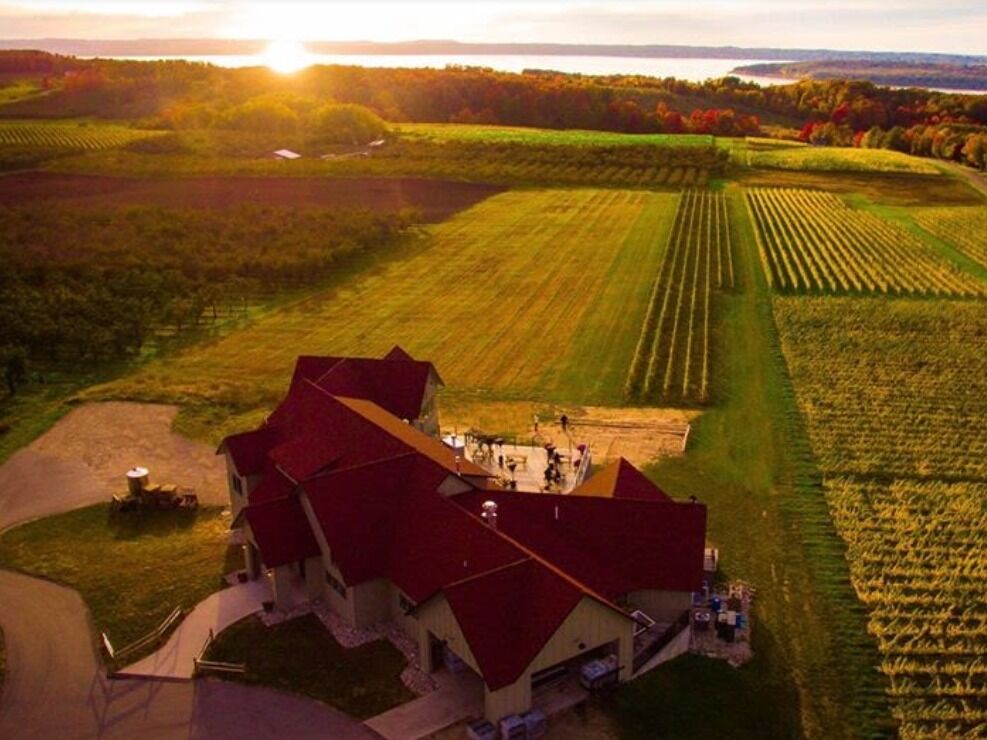 Picture of Bonobo Winery