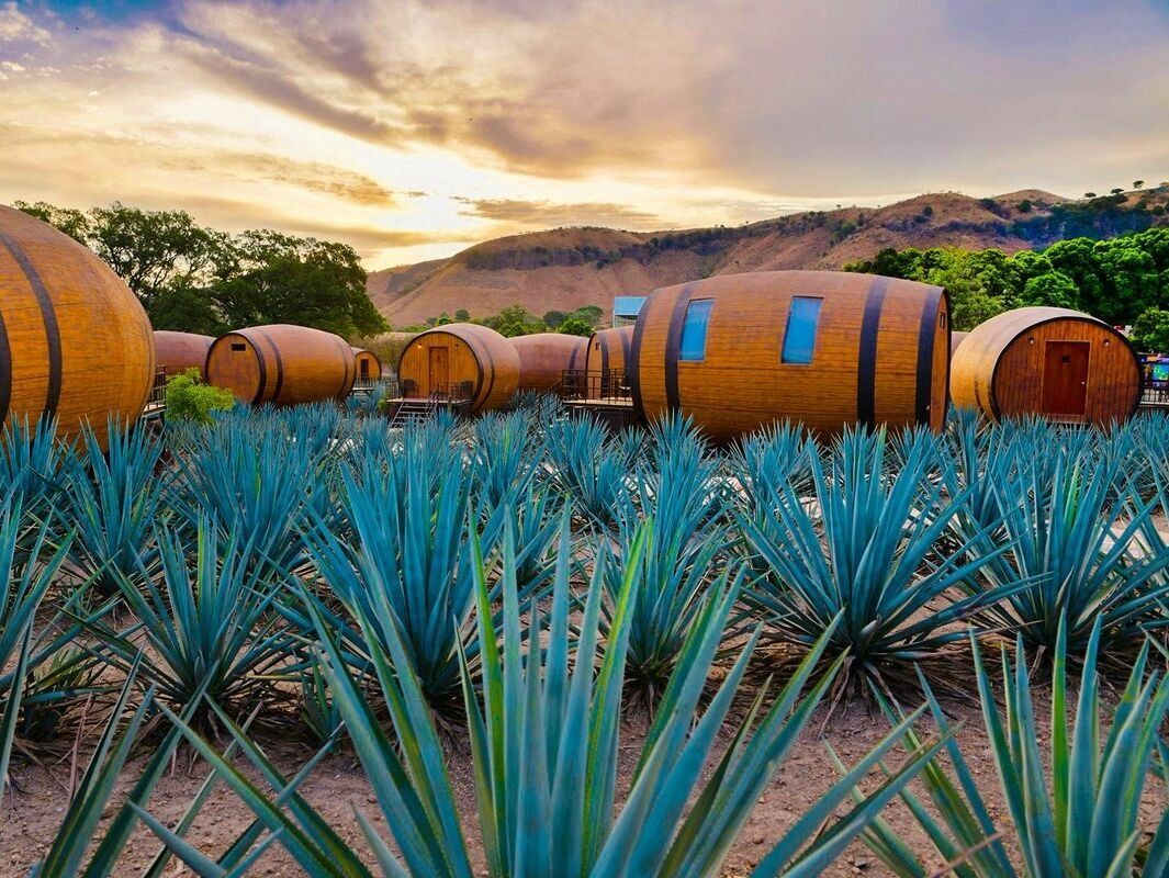 Picture of Hacienda Tequilera La Cofradía